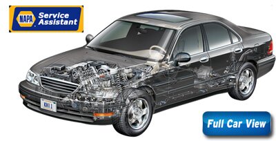 NAPA Service Assistant